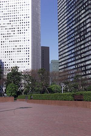 仙台市青葉区の不動産購入ガイド：理想の新築一戸建てを見つけるための全知識